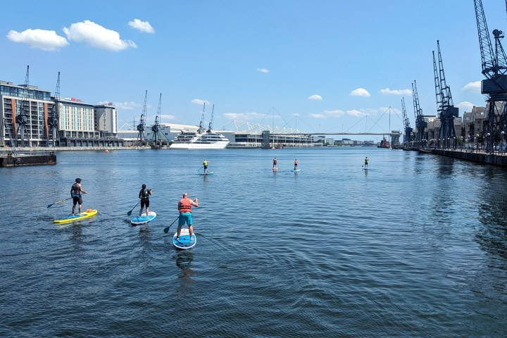 People paddleboarding on a calm urban river with cranes in the background.