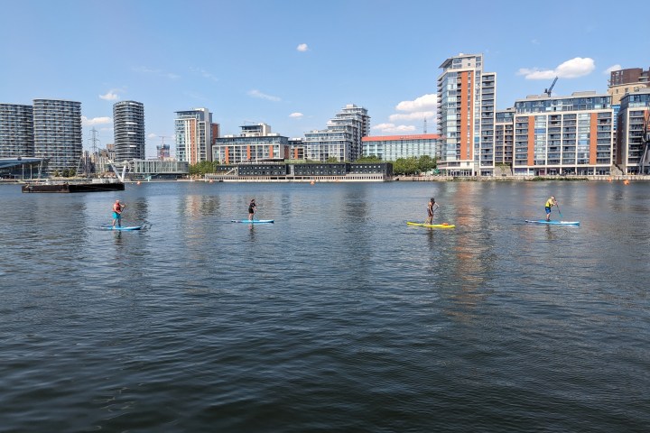 Four people paddleboarding on a calm river with city buildings in the background.